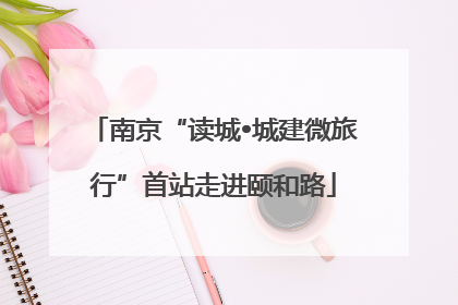 南京“读城•城建微旅行”首站走进颐和路