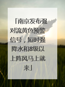 南京发布强对流黄色预警信号，短时强降水和8级以上阵风马上就来