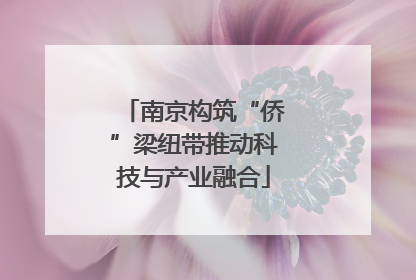 南京构筑“侨”梁纽带推动科技与产业融合