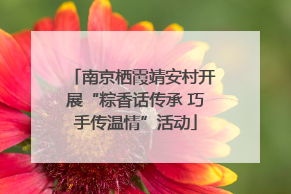 南京栖霞靖安村开展“粽香话传承 巧手传温情”活动