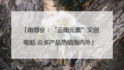 南博会：“云南元素”文创吸睛 众多产品热销海内外