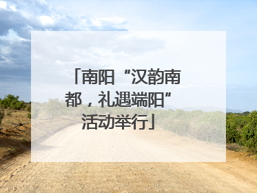 南阳“汉韵南都，礼遇端阳”活动举行