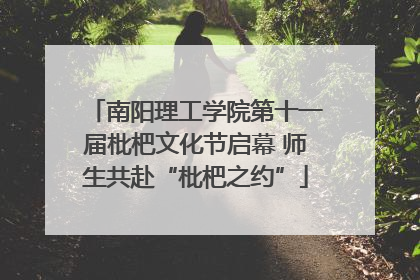 南阳理工学院第十一届枇杷文化节启幕 师生共赴“枇杷之约”