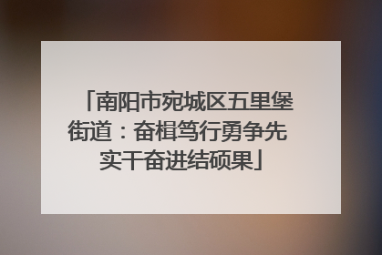 南阳市宛城区五里堡街道：奋楫笃行勇争先 实干奋进结硕果