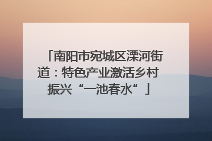南阳市宛城区溧河街道：特色产业激活乡村振兴“一池春水”