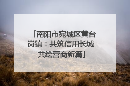 南阳市宛城区黄台岗镇：共筑信用长城 共绘营商新篇