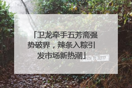 卫龙牵手五芳斋强势破界，辣条入粽引发市场新热潮
