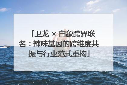 卫龙 × 白象跨界联名：辣味基因的跨维度共振与行业范式重构