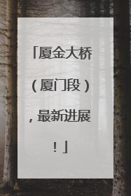 厦金大桥（厦门段），最新进展！