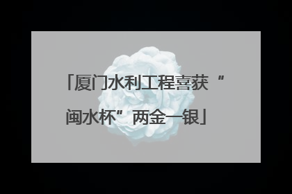 厦门水利工程喜获“闽水杯”两金一银