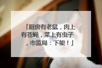 厨房有老鼠，肉上有苍蝇，菜上有虫子，市监局：下架！