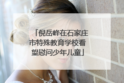倪岳峰在石家庄市特殊教育学校看望慰问少年儿童