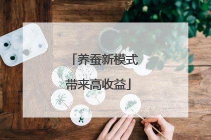 养蚕新模式带来高收益