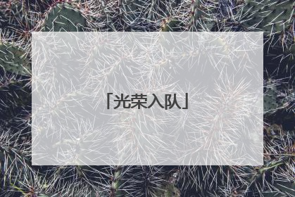 光荣入队