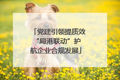 党建引领提质效 “局港联动”护航企业合规发展