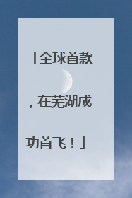 全球首款，在芜湖成功首飞！
