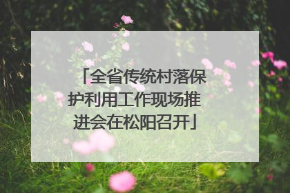 全省传统村落保护利用工作现场推进会在松阳召开