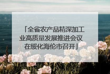 全省农产品精深加工业高质量发展推进会议在绥化海伦市召开