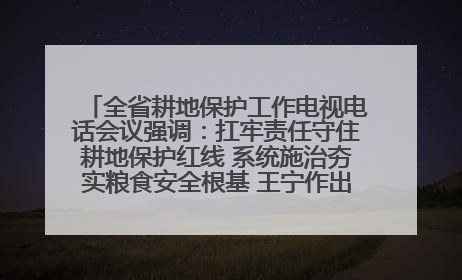 全省耕地保护工作电视电话会议强调：扛牢责任守住耕地保护红线 系统施治夯实粮食安全根基 王宁作出批示 王予波出席并讲话