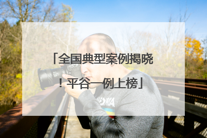 全国典型案例揭晓！平谷一例上榜