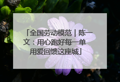 全国劳动模范｜陈一文：用心跑好每一单 用爱回馈这座城