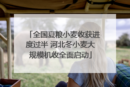 全国夏粮小麦收获进度过半 河北冬小麦大规模机收全面启动