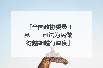 全国政协委员王昆——司法为民做得越细越有温度