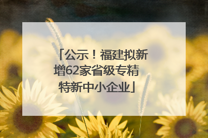 公示！福建拟新增62家省级专精特新中小企业