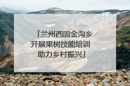 兰州西固金沟乡开展果树技能培训 助力乡村振兴