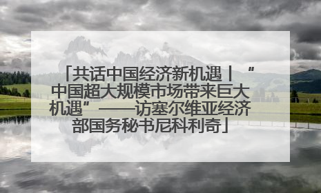 共话中国经济新机遇丨“中国超大规模市场带来巨大机遇”——访塞尔维亚经济部国务秘书尼科利奇