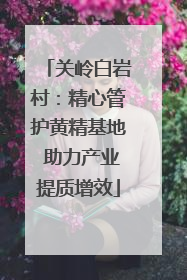 关岭白岩村：精心管护黄精基地 助力产业提质增效