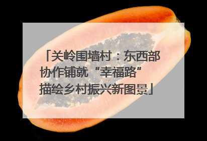 关岭围墙村：东西部协作铺就“幸福路” 描绘乡村振兴新图景