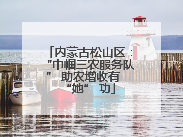内蒙古松山区：“巾帼三农服务队” 助农增收有 “她” 功