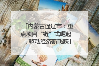 内蒙古通辽市：重点项目“链”式崛起，驱动经济新飞跃