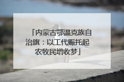 内蒙古鄂温克族自治旗：以工代赈托起农牧民增收梦