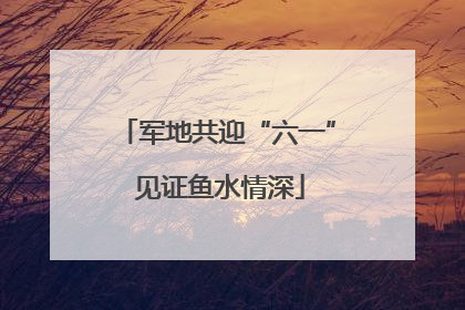 军地共迎“六一” 见证鱼水情深