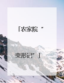 农家院“变形记”