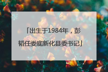 出生于1984年，彭韬任娄底新化县委书记
