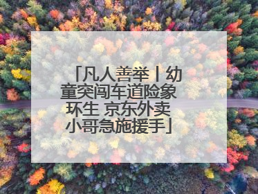 凡人善举丨幼童突闯车道险象环生 京东外卖小哥急施援手