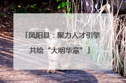 凤阳县：聚力人才引擎 共绘“大明华章”