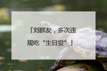 刘群友，多次违规吃“生日宴”