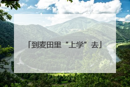 到麦田里“上学”去