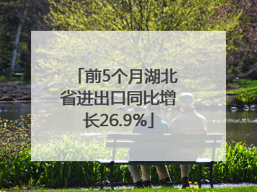 前5个月湖北省进出口同比增长26.9%