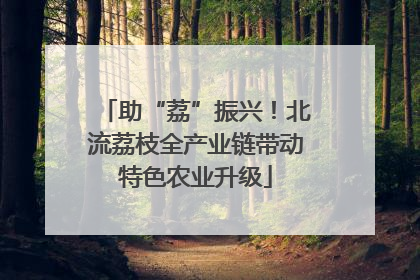 助“荔”振兴！北流荔枝全产业链带动特色农业升级