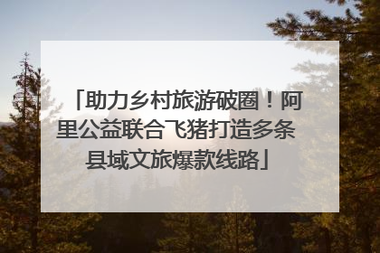 助力乡村旅游破圈！阿里公益联合飞猪打造多条县域文旅爆款线路