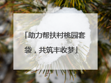 助力帮扶村桃园套袋，共筑丰收梦