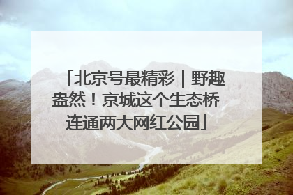 北京号最精彩｜野趣盎然！京城这个生态桥连通两大网红公园