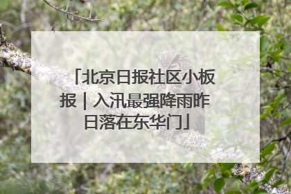 北京日报社区小板报｜入汛最强降雨昨日落在东华门