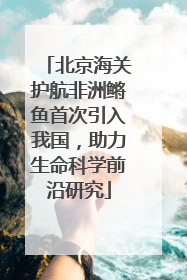 北京海关护航非洲鳉鱼首次引入我国，助力生命科学前沿研究