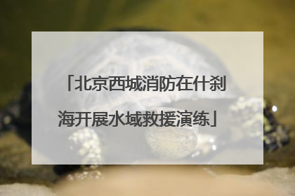 北京西城消防在什刹海开展水域救援演练